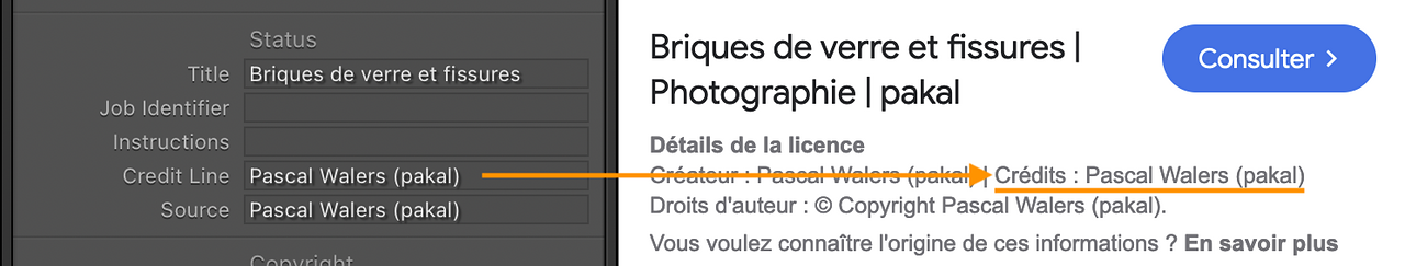 Illustration pour encoder les crédits sur une photo avec Lightroom Classic.