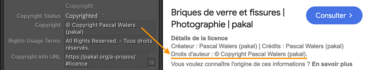 Illustration pour encoder les droits d'auteur sur une photo avec Lightroom Classic.