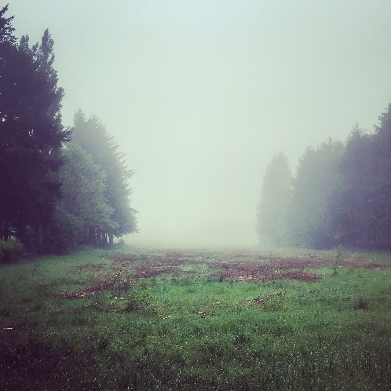 Good late morning Luxembourg!