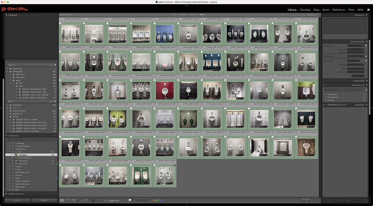 Lightroom: Sélection 60 Urinoirs