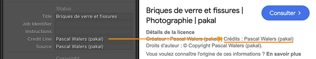 Illustration pour encoder les crédits sur une photo avec Lightroom Classic.