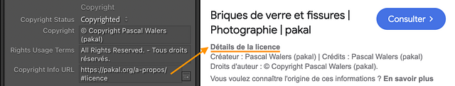 Illustration pour encoder les détails de la licence sur une photo avec Lightroom Classic.