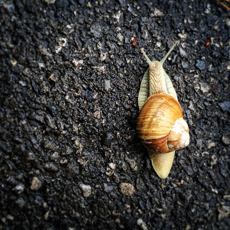 The distance!