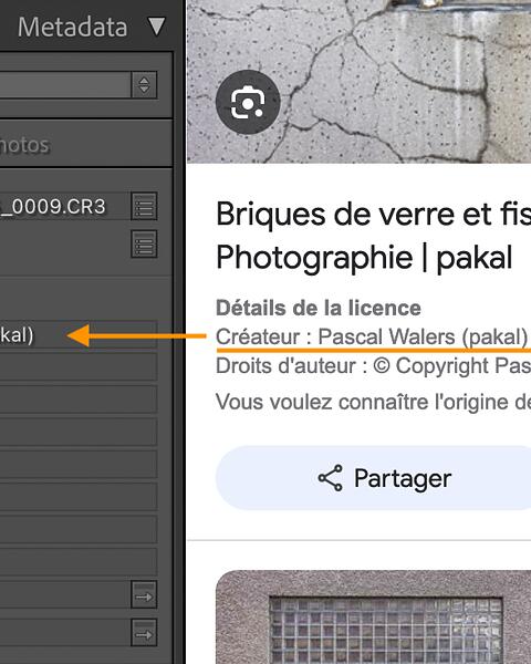Vos photos sous licence dans Google