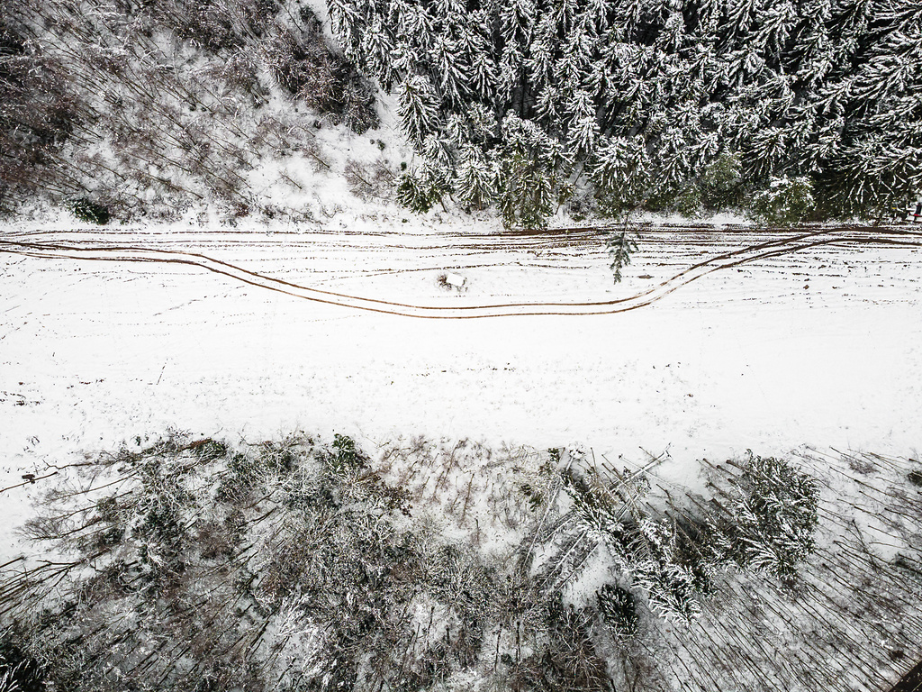 Vue aérienne d'un large coupe-feu forestier enneigé séparant deux parcelles de forêt. Des traces de véhicules légères sont visibles sur la piste en hiver.
