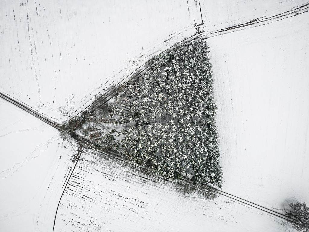 Vue aérienne d'un bosquet de conifères enneigés en hiver. La parcelle d'arbres, de forme triangulaire nette, se détache des vastes champs agricoles couverts de neige.