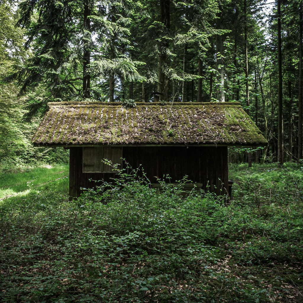 La cabane