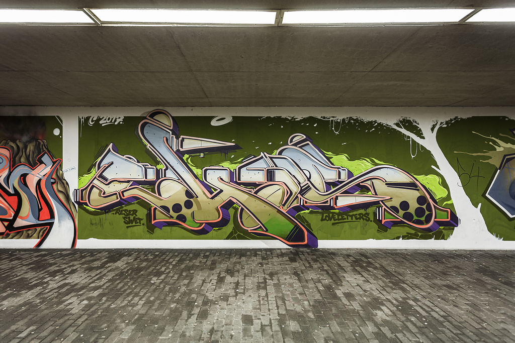 Plan large sur la fresque recouvrant le mur gauche du tunnel de la gare de Lamadelaine...