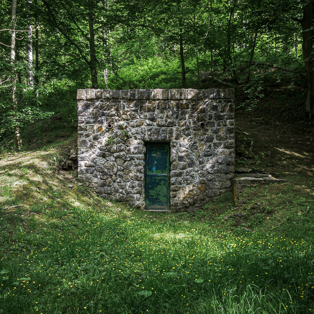 La petite source