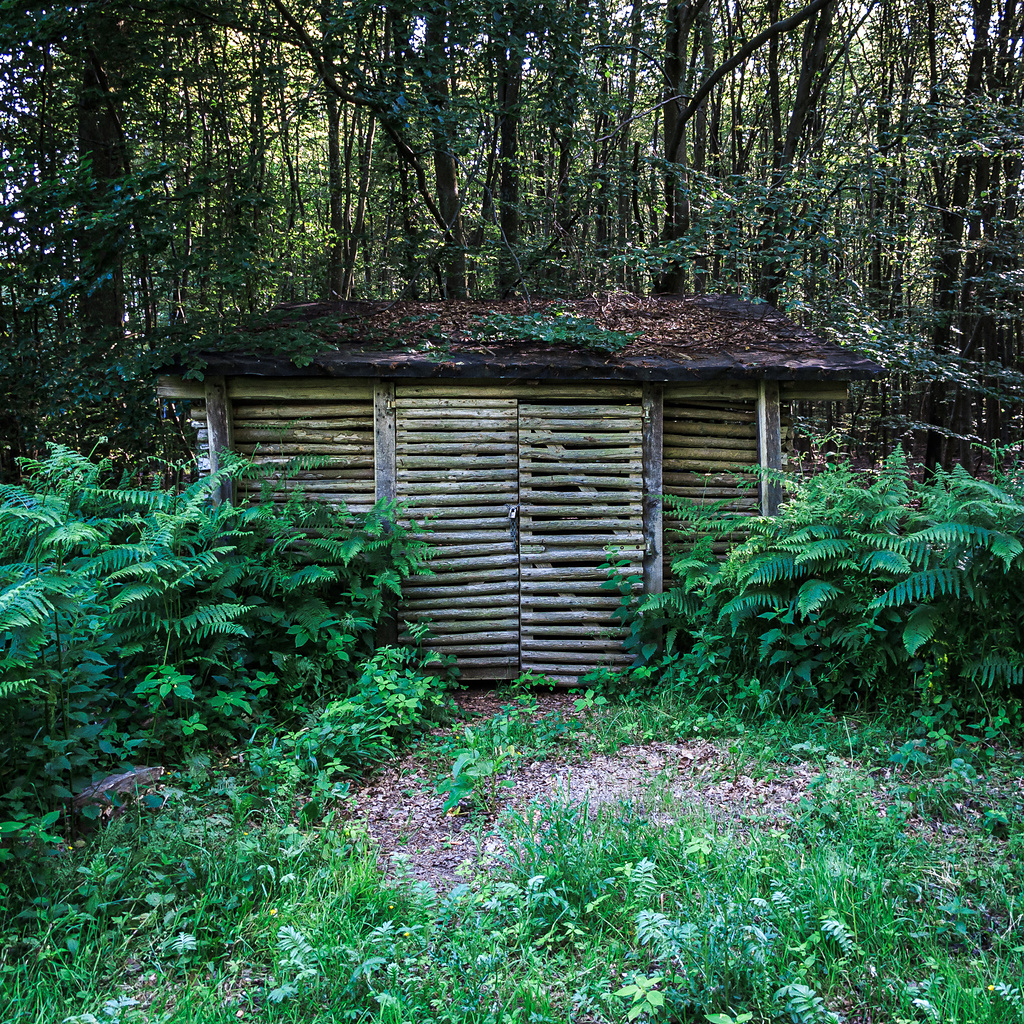 Le cabanon