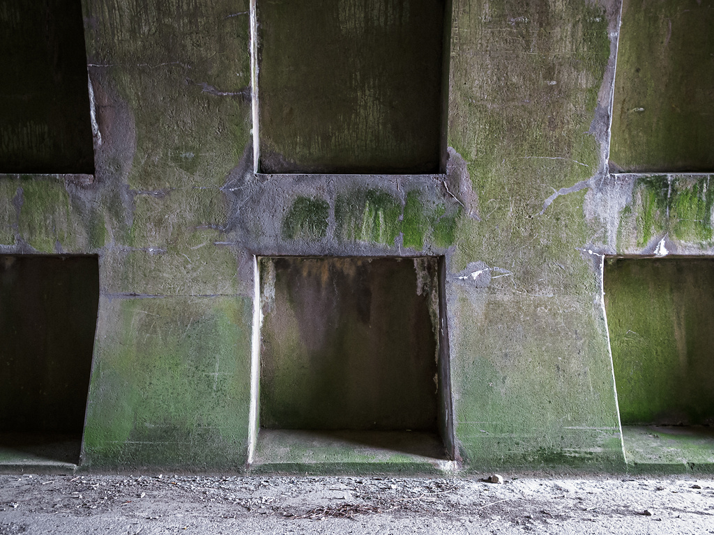 Paroi d'un tunnel en béton avec des ouvertures rectangulaires, partiellement couvert de mousse, cette texture ajoute un aspect brut et industriel.