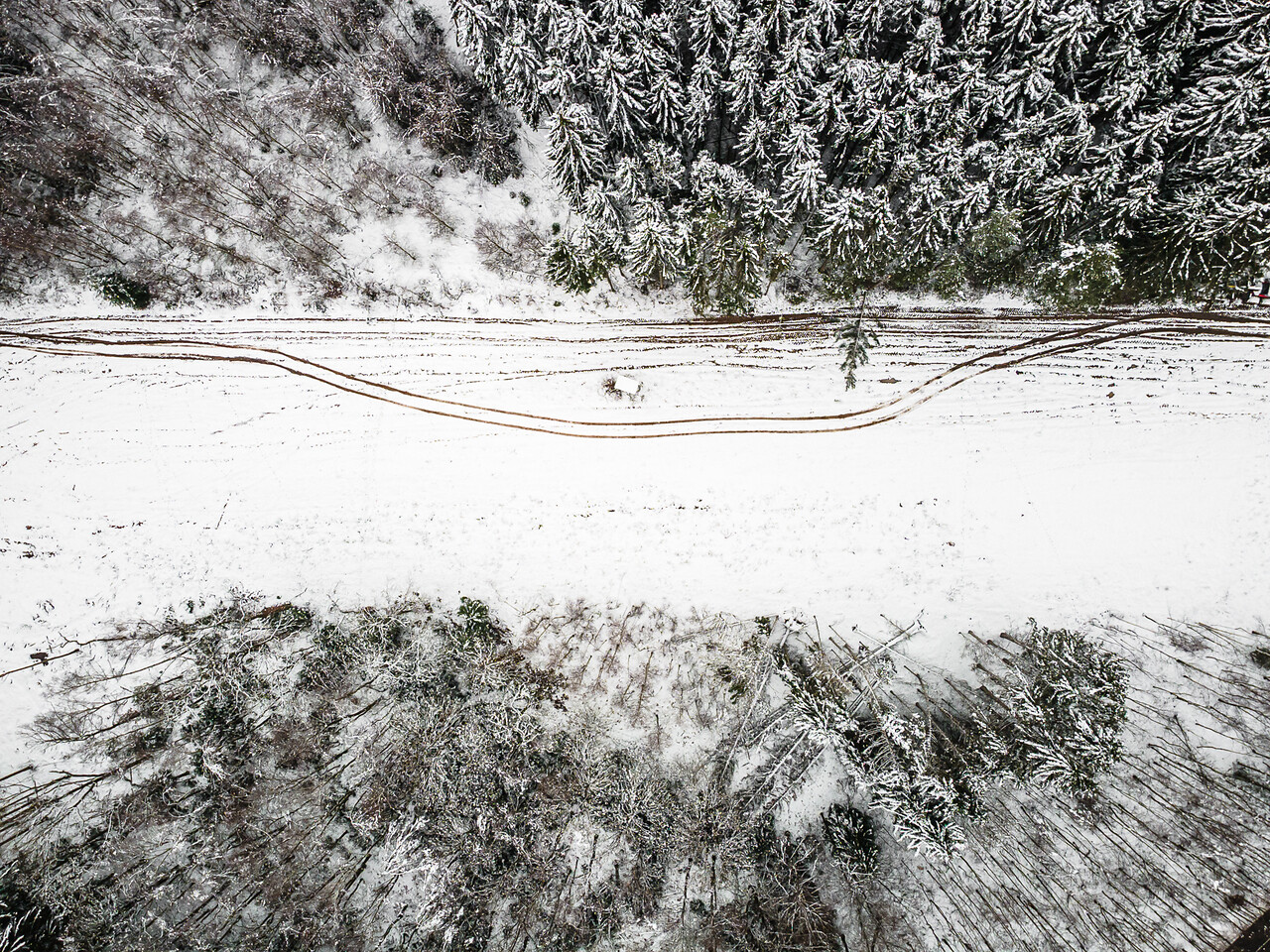 Vue aérienne d'un large coupe-feu forestier enneigé séparant deux parcelles de forêt. Des traces de véhicules légères sont visibles sur la piste en hiver.