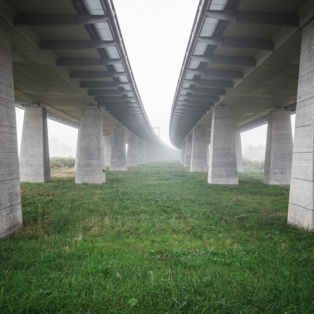 Vue dans le brouillard entre des pilastres soutenant une autoroute...