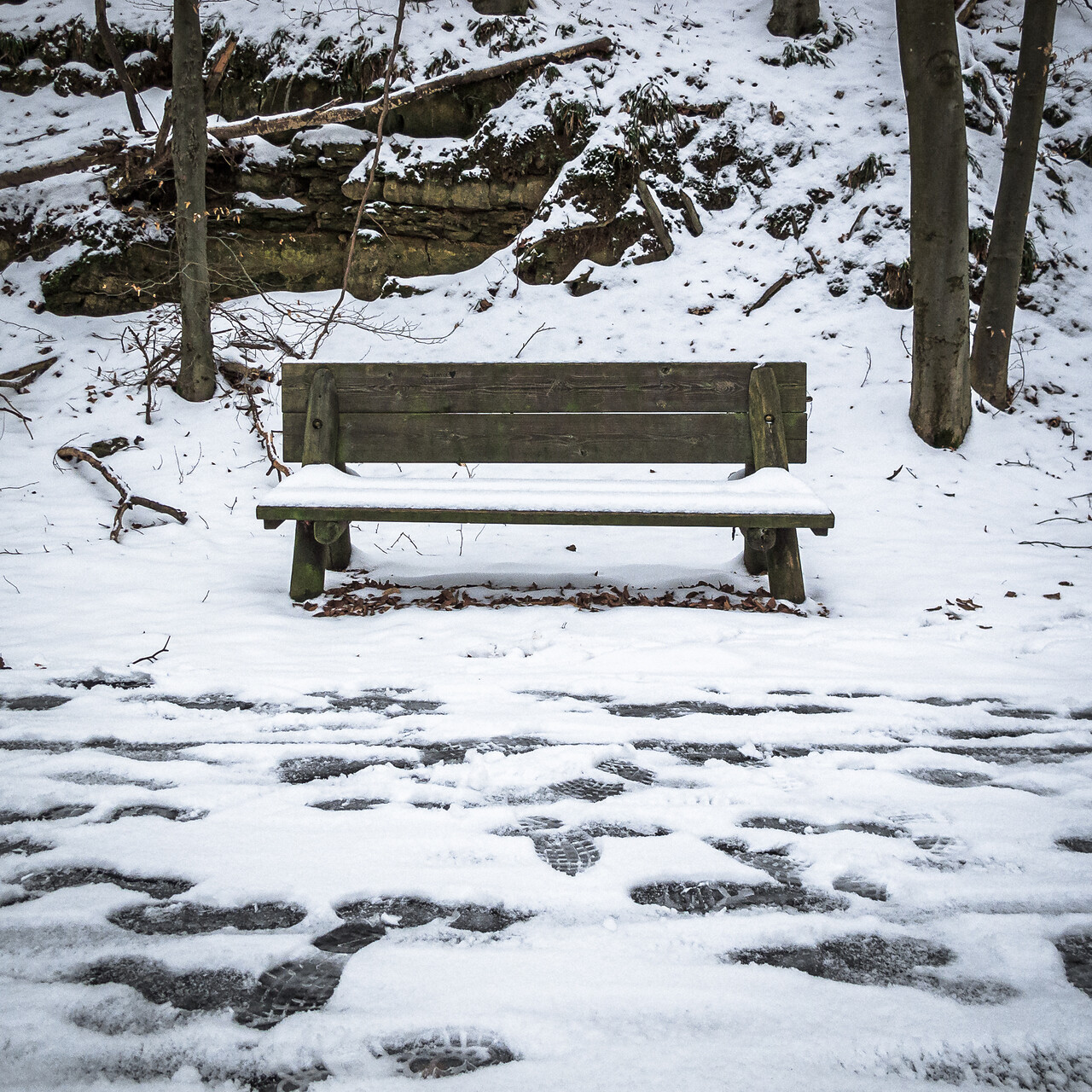 Le banc en hiver