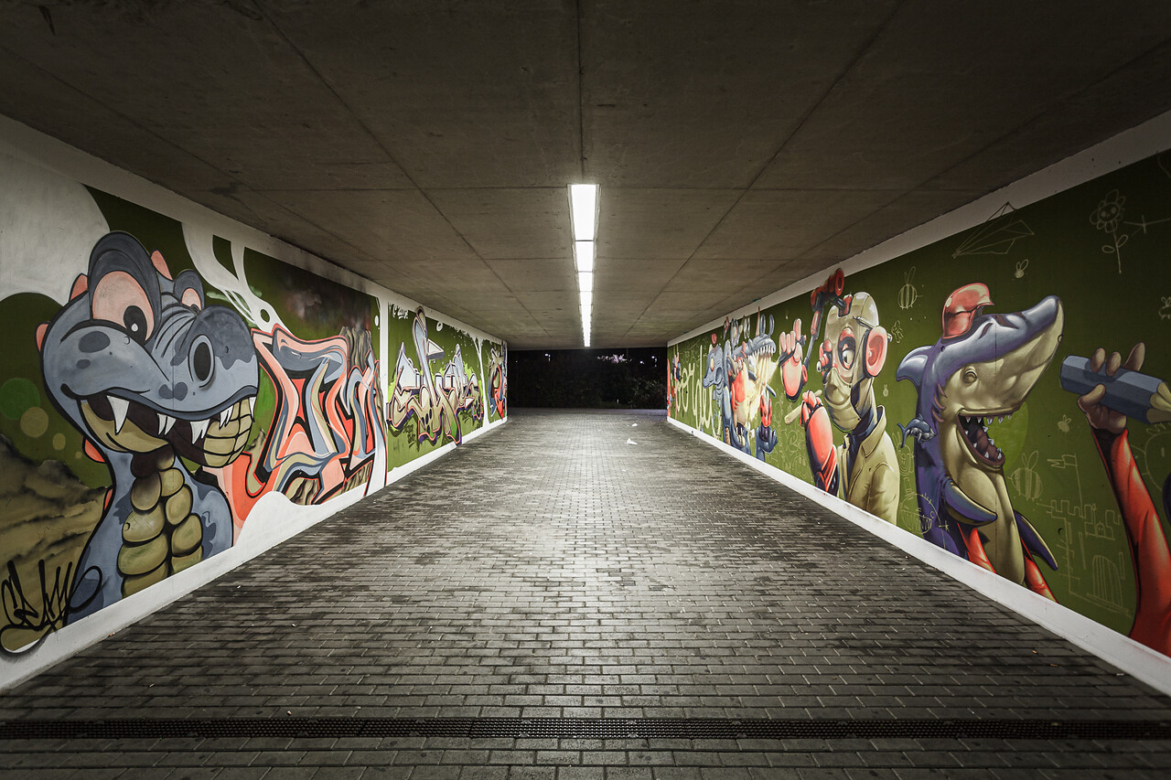 Grand angle sur le tunnel séparant le gare de lamadelaine et le Lycée Technique Mathias Adam...
