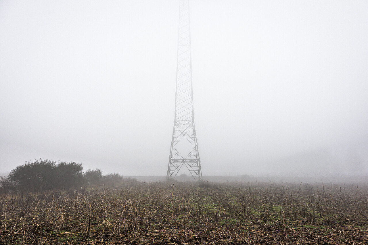 Un champ brumeux à Heisdorf avec des tiges de plantes sèches au premier plan et un pylône électrique s'élevant au centre de l'image.