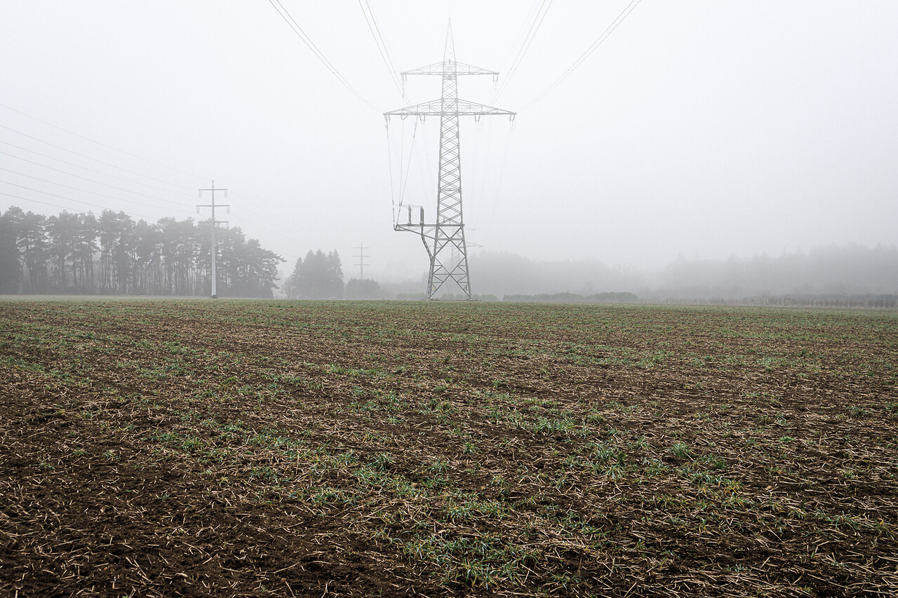 Un champ avec des jeunes pousses, des lignes électriques et des pylônes sous un ciel brumeux, avec une forêt en arrière-plan.