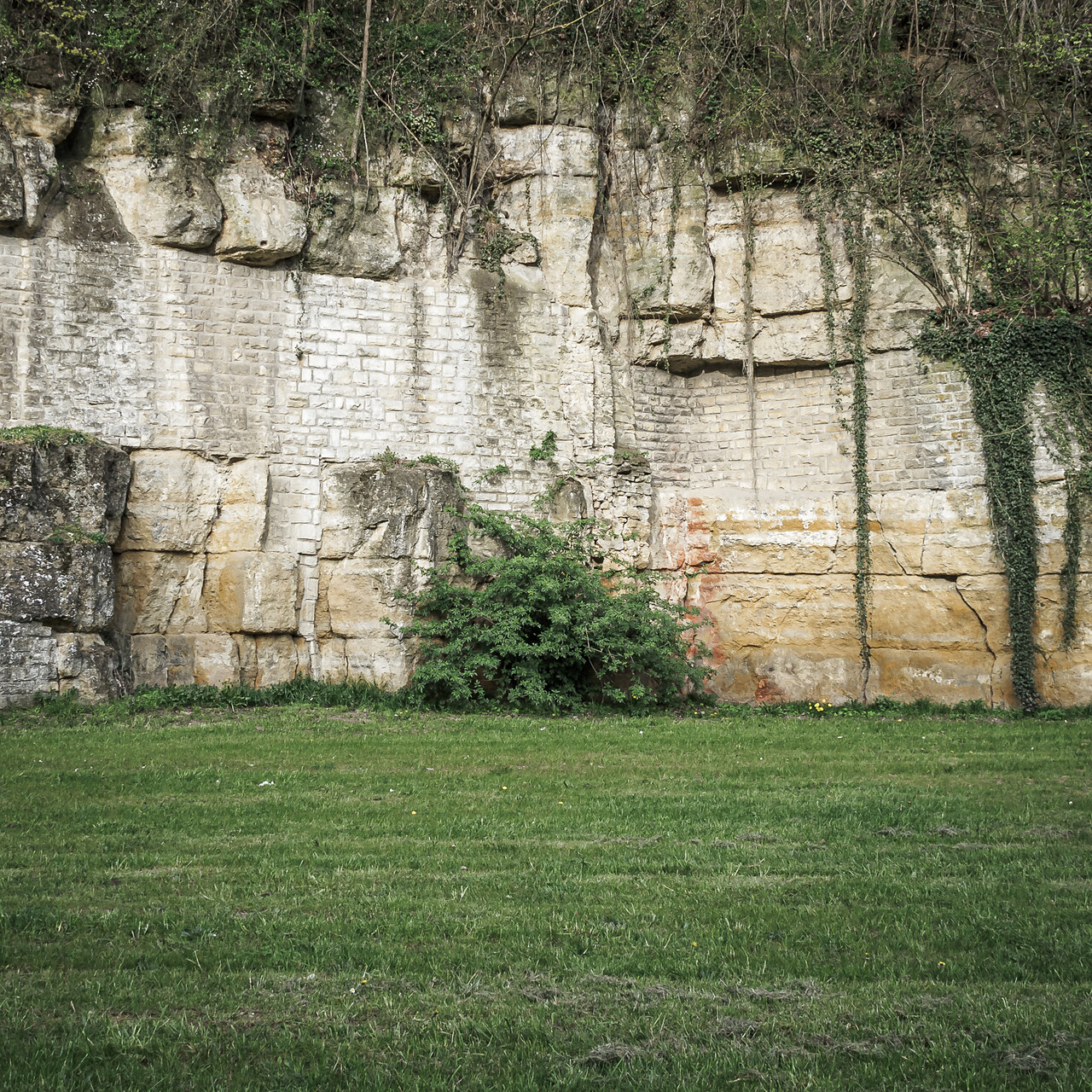 Mur rocheux garni d'un buisson situés dans le quartier Pfaffenthal à Luxembourg.