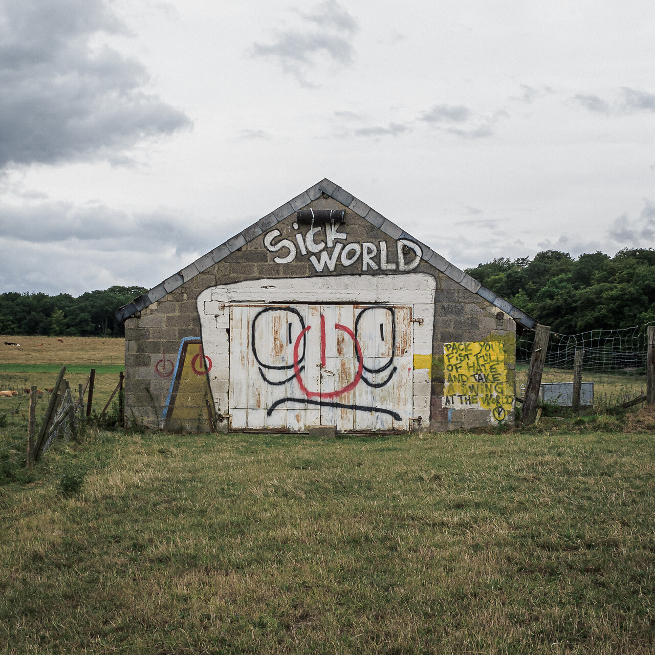 Sick world
