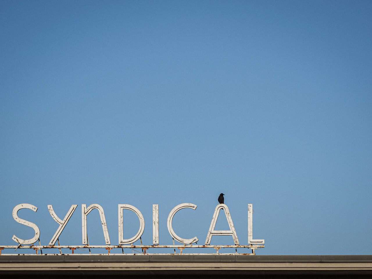 Détail du lettrage vintage 'SYNDICAL' en métal blanc et néon, la lettre 'A' surmontée d'un oiseau noir sur un fond de ciel bleu azur.