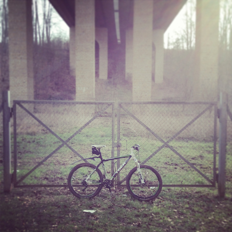 Dans la brume
