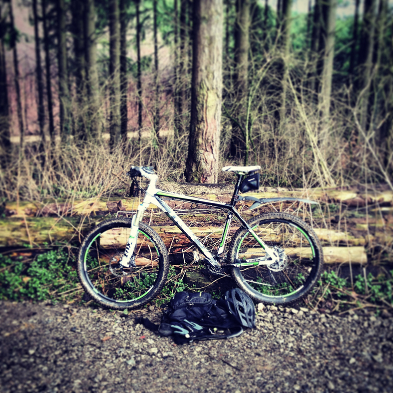 En foret