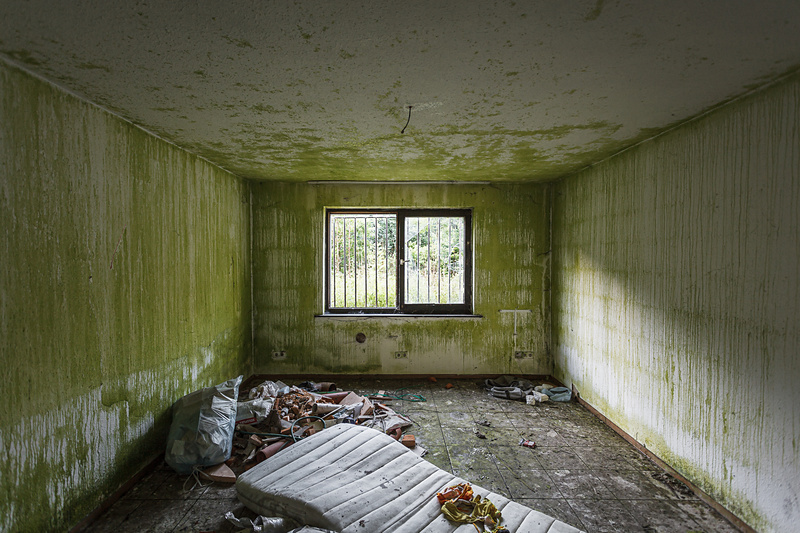 Explosion de vert