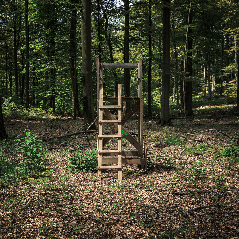 Le mirador I