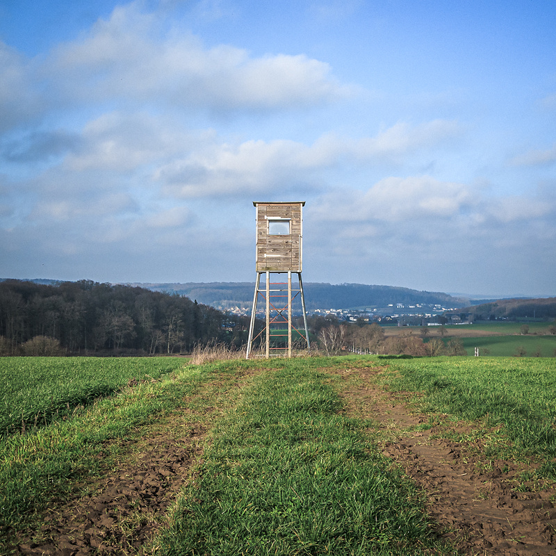Le mirador II