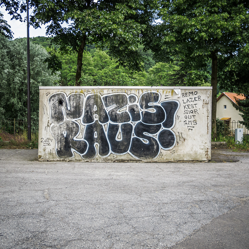 NAZIS RAUS!