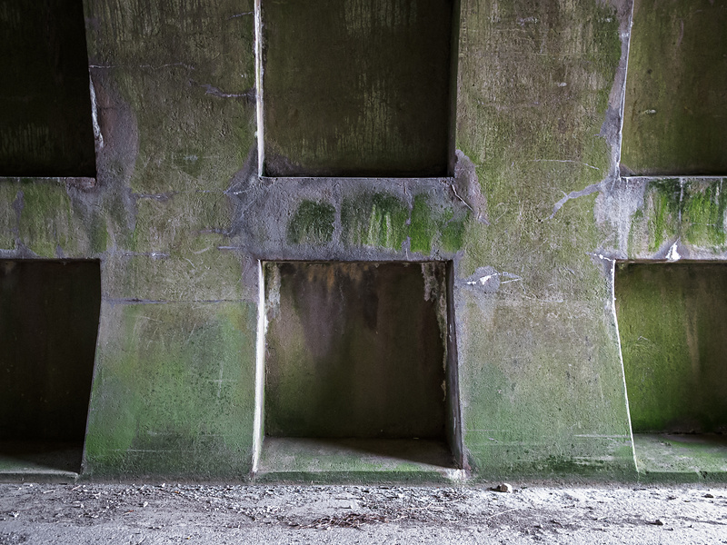 Paroi d'un tunnel en béton avec des ouvertures rectangulaires, partiellement couvert de mousse, cette texture ajoute un aspect brut et industriel.