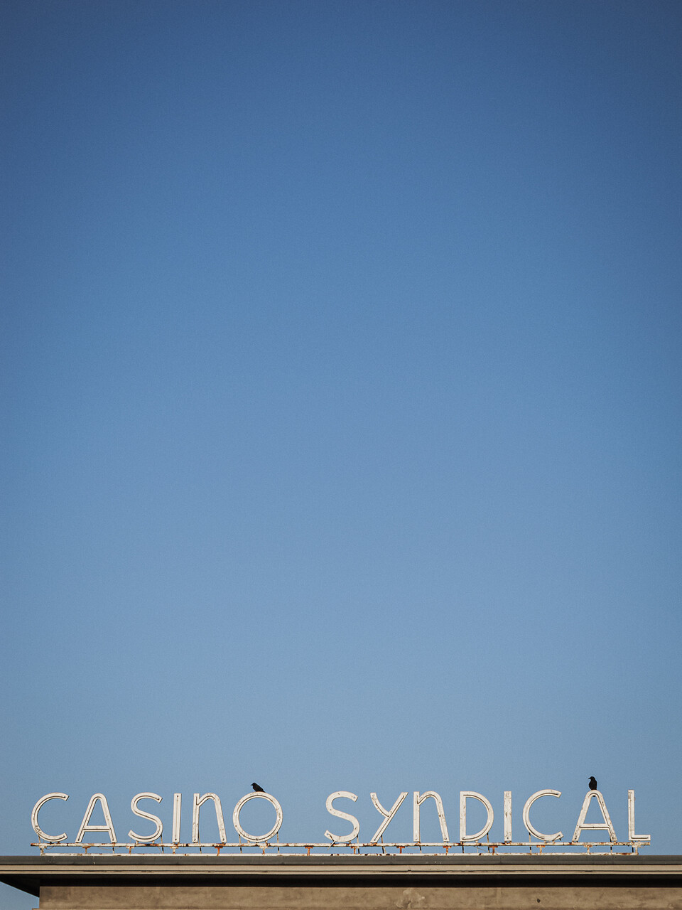 Lettrage de métal blanc et néon 'CASINO SYNDICAL' sur le toit d'un bâtiment à Bonnevoie, se détachant d'un ciel bleu avec deux oiseaux posés sur les lettres 'O' et 'A'.