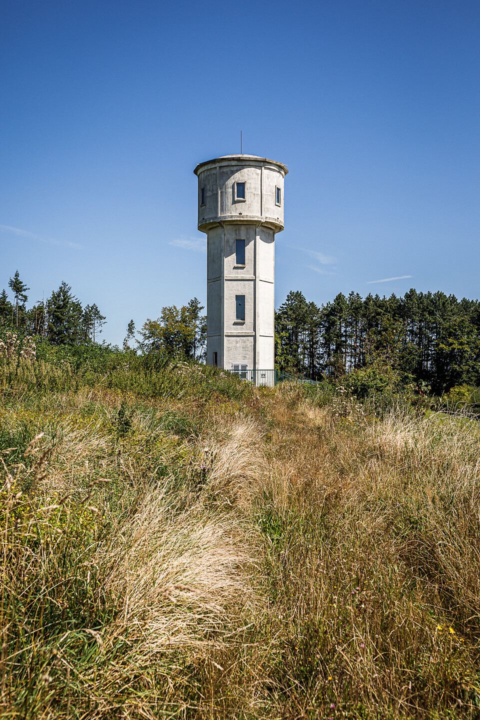 Château d'eau cylindrique en béton gris clair avec des fenêtres rectangulaires, situé au sommet d'une colline herbeuse jaune-brun à Frassem, Belgique, entouré d'une forêt de conifères et sous un ciel bleu clair.