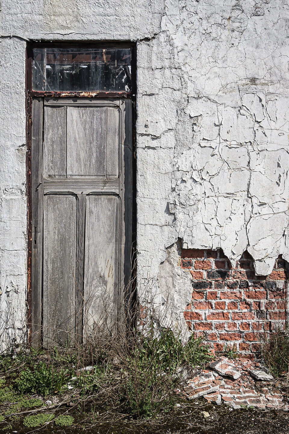 Une vieille porte en bois usée, encastrée dans un mur de plâtre blanc écaillé, révèle des briques rouges en dessous, avec des herbes à la base du mur.