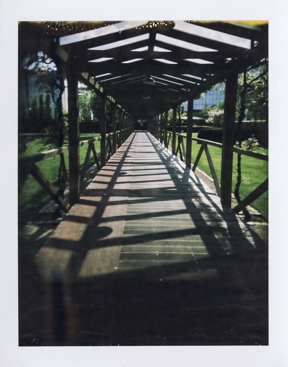 Viva 125i - Lot 3L6MG38B - Cliché 6