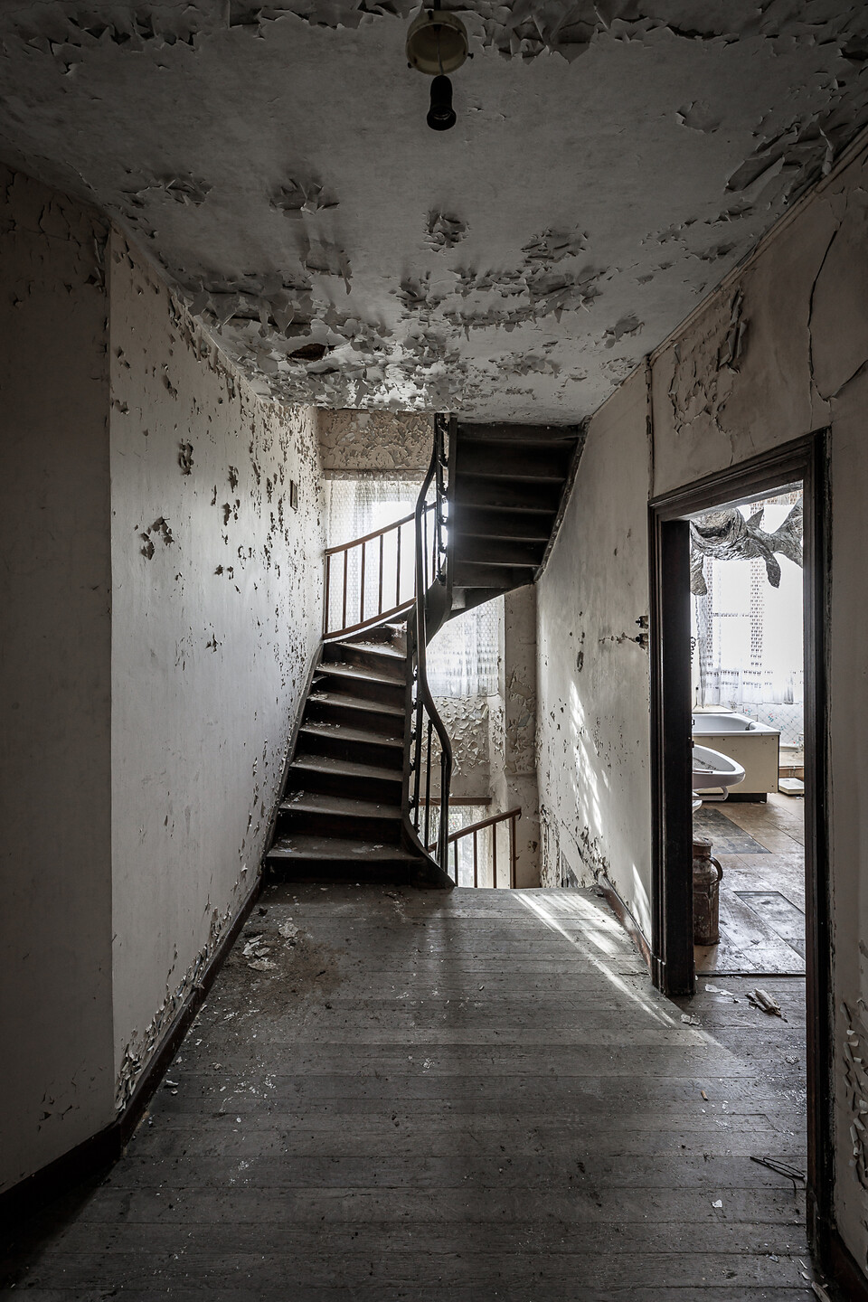Cage d'escalier, son palier et, sur la droite, la salle de bain et la sculpture du requin ...