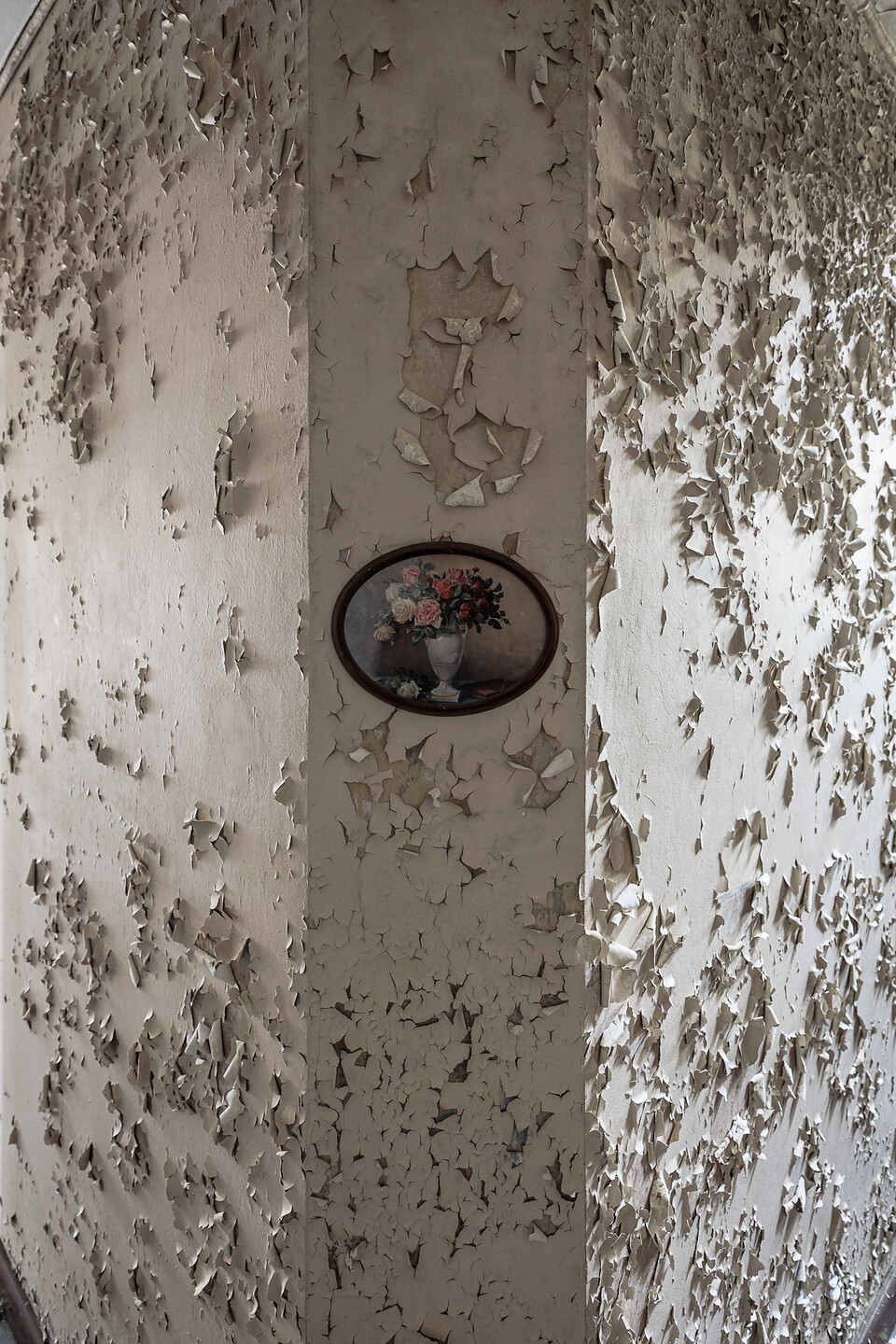 Petit cadre ovoïde contenant l'illustration d'un pot de fleurs, accroché sur un mur à la peinture écaillée ...
