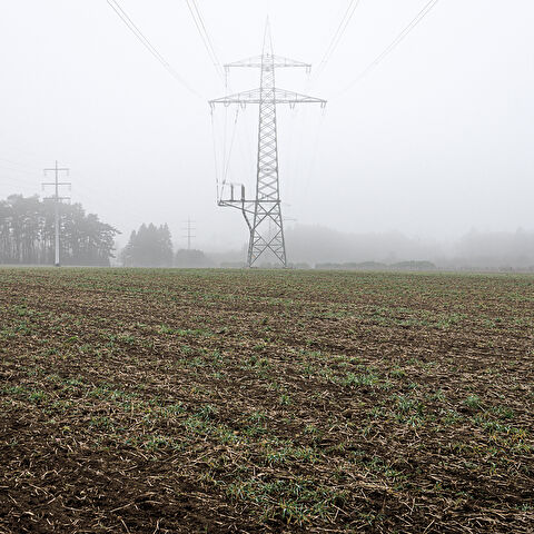 Un champ avec des jeunes pousses, des lignes électriques et des pylônes sous un ciel brumeux, avec une forêt en arrière-plan.