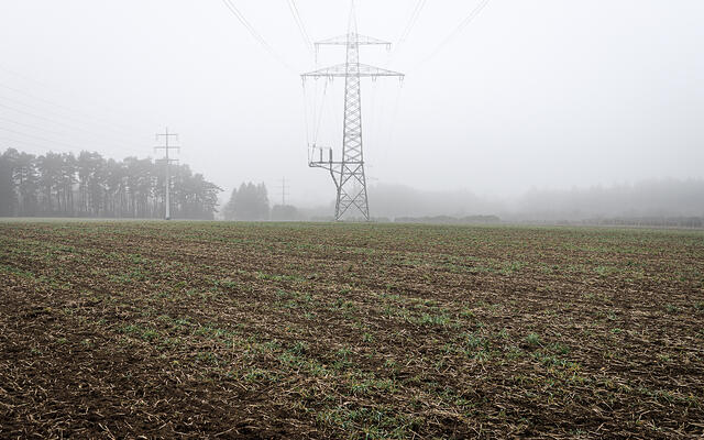 Un champ avec des jeunes pousses, des lignes électriques et des pylônes sous un ciel brumeux, avec une forêt en arrière-plan.