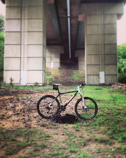 Sous le pont