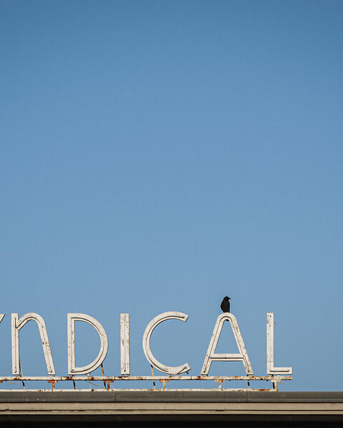 Détail du lettrage vintage 'SYNDICAL' en métal blanc et néon, la lettre 'A' surmontée d'un oiseau noir sur un fond de ciel bleu azur.