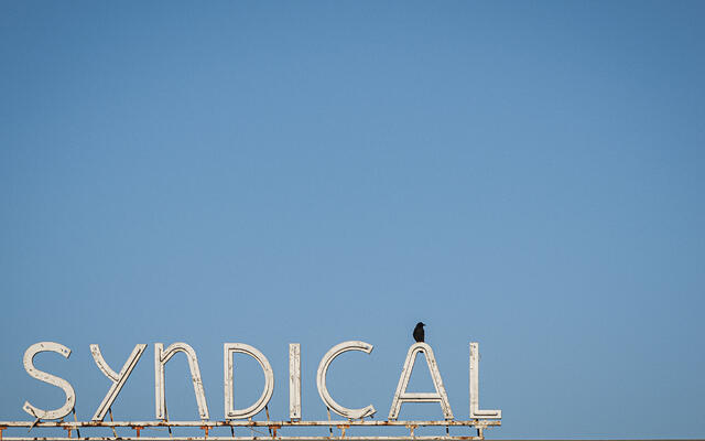 Détail du lettrage vintage 'SYNDICAL' en métal blanc et néon, la lettre 'A' surmontée d'un oiseau noir sur un fond de ciel bleu azur.